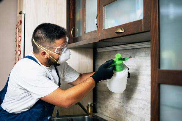 Best Best Pest Control Companies  in Masury, OH