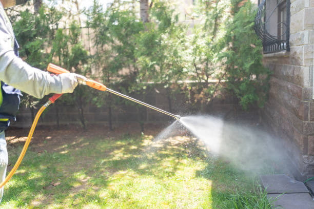 Professional Pest Control in Masury, OH