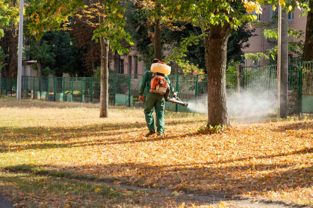 Wildlife Control Services in Masury, OH